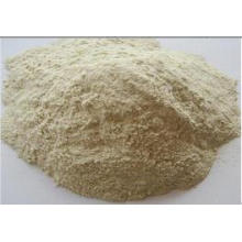 Proteína de harina de gluten de trigo Min 70%